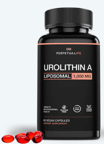 Liposomal Urolithin A – Advanced Cellular Energy & Healthy Aging Support